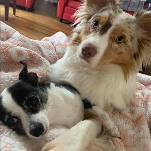 Meet your Posher, Wanda